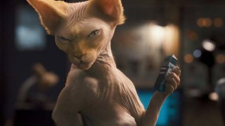 Cats & Dogs: The Revenge of Kitty Galore 3D filmstill Cats & Dogs: The Revenge of Kitty Galore 3D filmstill