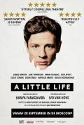 A Little Life