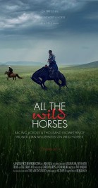 All the Wild Horses poster