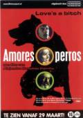 Amores Perros