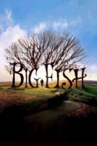 Big Fish poster