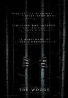 Blair Witch poster