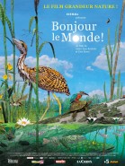 Bonjour le monde poster