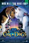 Cats and Dogs
