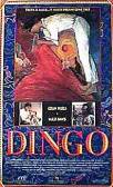 Dingo