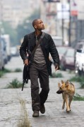 Fragment I Am Legend met Will Smith (c) Warner Bros Pictures Fragment I Am Legend met Will Smith (c) Warner Bros Pictures