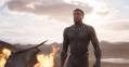 Chadwick Boseman in Black Panther.
