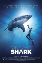 Great White Shark poster
