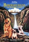 Homeward Bound: The Incredible Journey