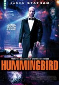 Hummingbird