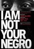 I Am Not Your Negro