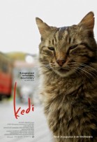 Kedi poster