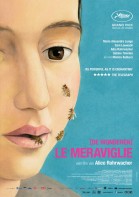 Le meraviglie poster
