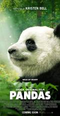 Pandas, a new story (NL)