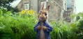 Peter Rabbit is een rebelse rakker. Peter Rabbit is een rebelse rakker.