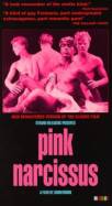 Pink Narcissus
