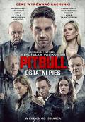 Pitbull. Ostatni pies
