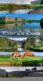 Rivier De Donge poster