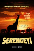 Serengeti 3D poster