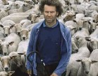 Shepherd poster