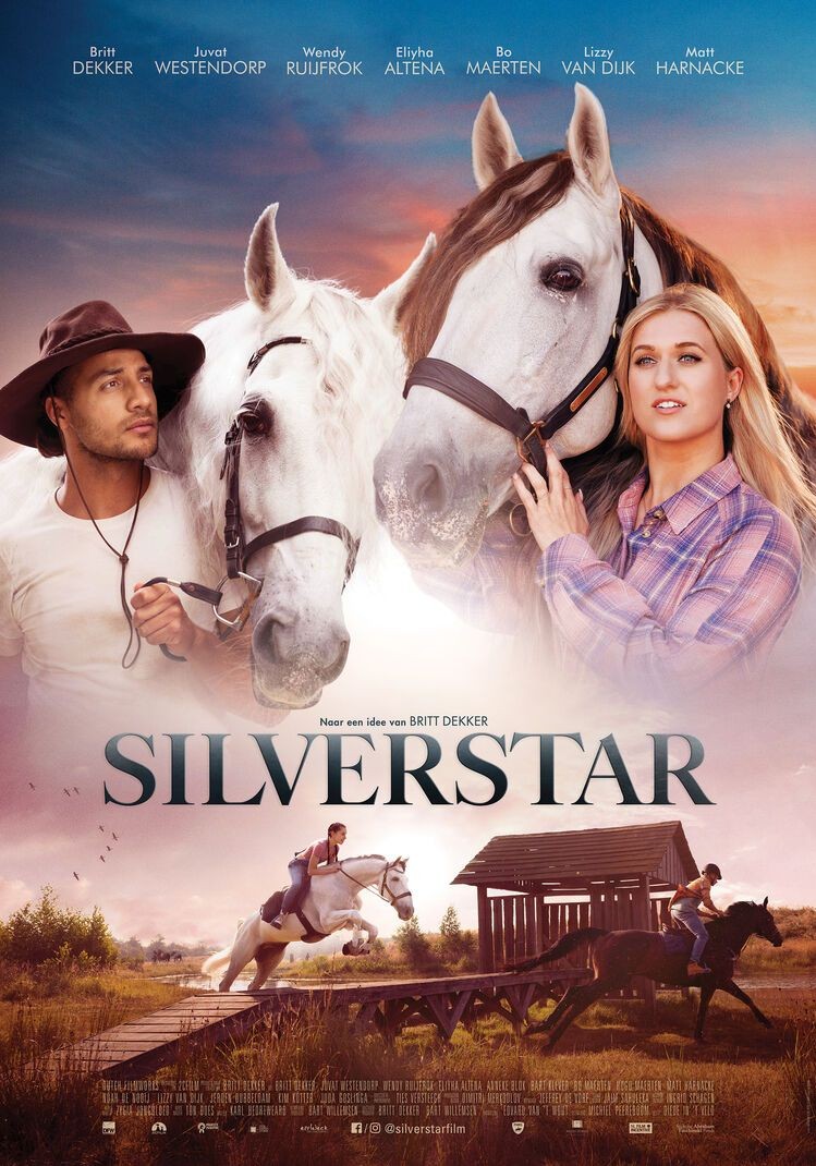 De poster van Silverstar