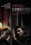 Songbird