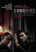 Songbird
