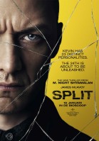 Split poster