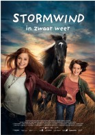 Stormwind - in zwaar weer poster