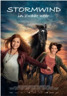 Stormwind - in zwaar weer poster