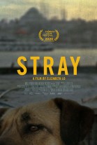 Stray poster