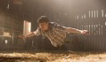 Brandon Routh speelde de rol van Superman Brandon Routh speelde de rol van Superman