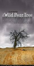 The Wild Pear Tree