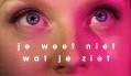 Deel van poster van NFF 2017 Deel van poster van NFF 2017