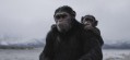 Twentieth Century Fox's "War for the Planet of the Apes.", © 2017 Twentieth Century Fox FIlm Corp. Twentieth Century Fox's "War for the Planet of the Apes.", © 2017 Twentieth Century Fox FIlm Corp.