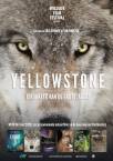 Yellowstone