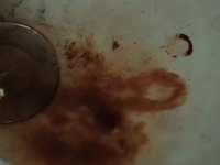 SHORT 64: Too Late, 19-12-2011