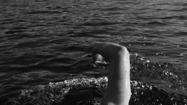 SHORT 204: Swimmer, 21-12-2015