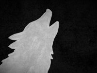 SHORT 63: Wolves, 12-12-2011
