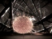 SHORT 116: Evolution, 7-1-2013