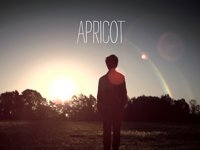 SHORT 58: Apricot, 31-10-2011