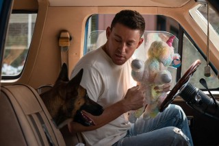 Channing Tatum in Dog