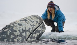 Drew Barrymore in Big Miracle