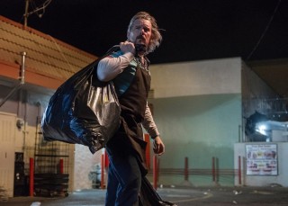 Ethan Hawke in Adopt a Highway