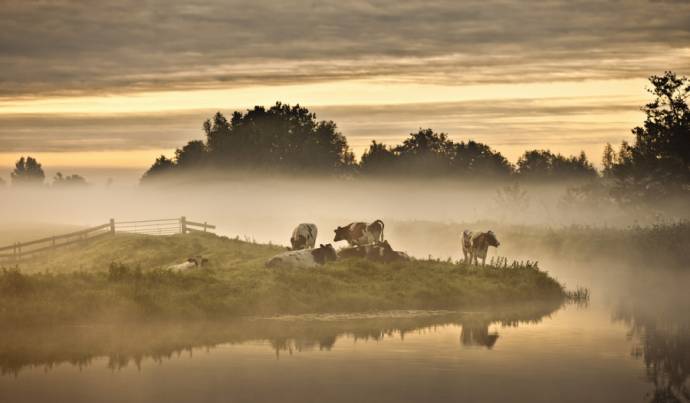 Holland, natuur in de delta filmstill