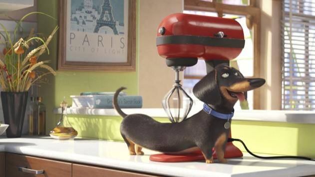 The Secret Life of Pets 3D filmstill