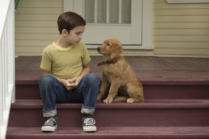 A Dog's Purpose filmstill