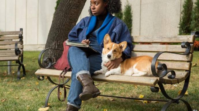 A Dog's Purpose filmstill