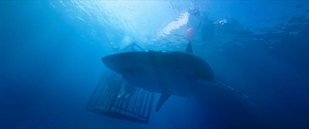 47 Meters Down