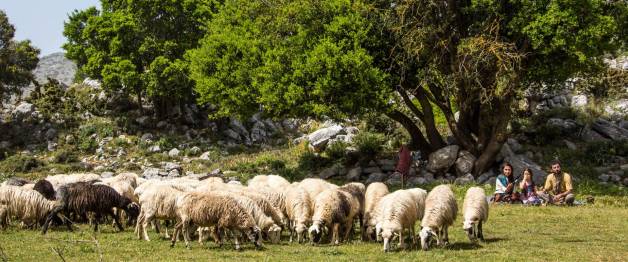 Zagros